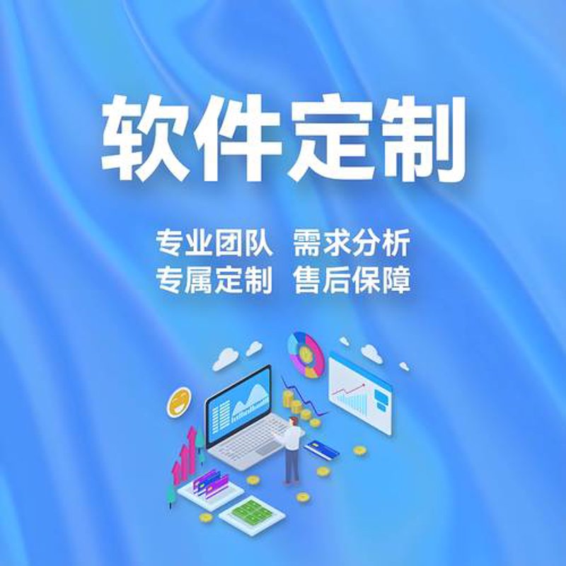 ERP系统开发在现代企业管理中的关键作用